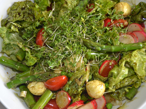 .. salat mit gr�nem spargel, mozarella und k�rbiskern�l