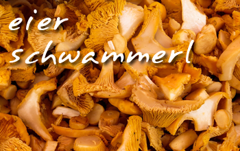 .. eierschwammerl