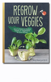 .. regrow your veggies - gemsereste endlos nachwachsen lassen