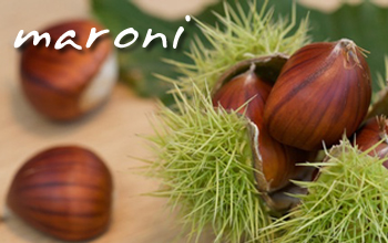 .. superfood maroni