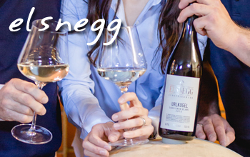 .. weingut elsnegg