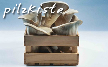 .. pilzkiste