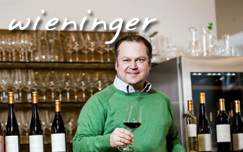 .. weingut & heuriger wieninger