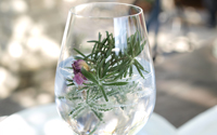 .. gin tonic mit botanicals