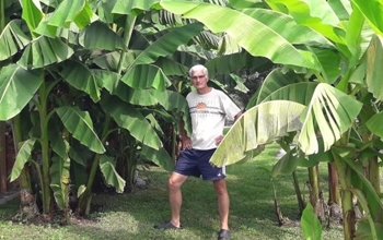.. kohlbacher's bananenstauden in der steiermark