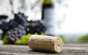 .. weinbaugebiet carnuntum