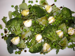.. salat grün-weiß