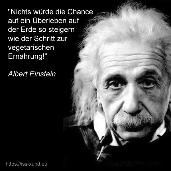 .. albert einstein